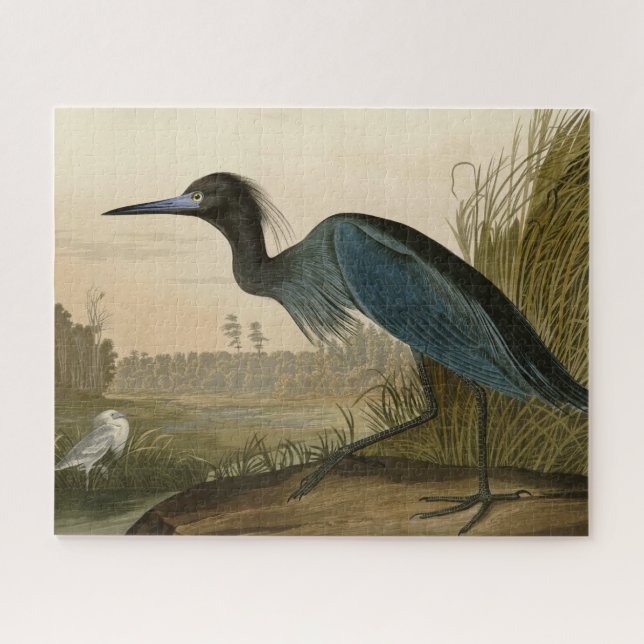 Puzzle Grue bleue Héron Impression Audubon Art côtier (Horizontal)