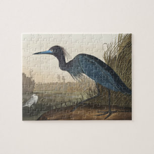 Puzzle Grue bleue ou héron d'Oiseaux d'Amérique