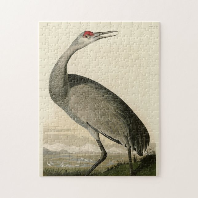 Puzzle Grue de Sandhill d'Audubon's Birds of America (Vertical)