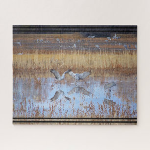 Puzzle Grue de Sandhill Oiseaux Faune Animal Jigsaw Puzzl