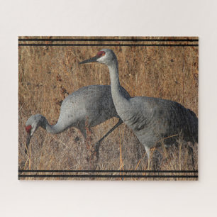 Puzzle Grue de Sandhill Oiseaux Faune Animal Jigsaw Puzzl