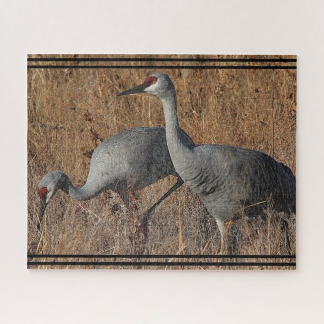 Puzzle Grue de Sandhill Oiseaux Faune Animal Jigsaw Puzzl (Horizontal)