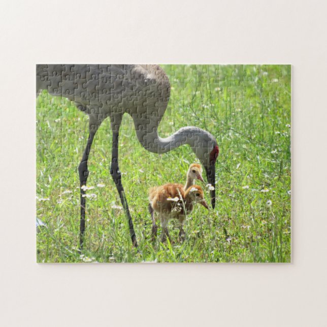 Puzzle Grue et Colts de Sandhill (Horizontal)