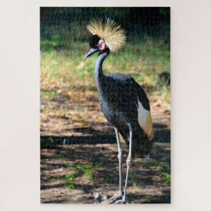 Puzzle Grue royale oiseau