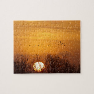 Puzzle Grues de Sandhill silhouetté contre le soleil leva