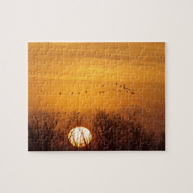 Puzzle Grues de Sandhill silhouetté contre le soleil leva (Horizontal)