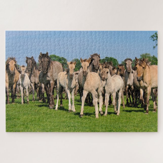 Puzzle Grullo Sauvage Couleur Dulmen Chevaux Jolies Foies (Horizontal)