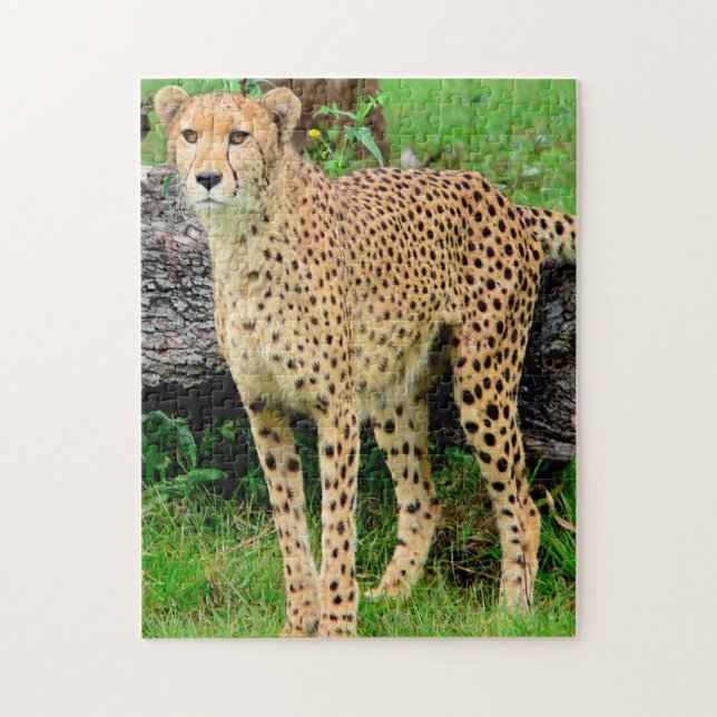Puzzle Guépard (Vertical)
