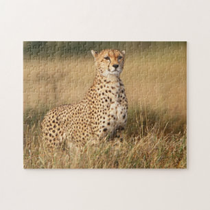 Puzzle Guépard sur un petit monticule pour une meilleure