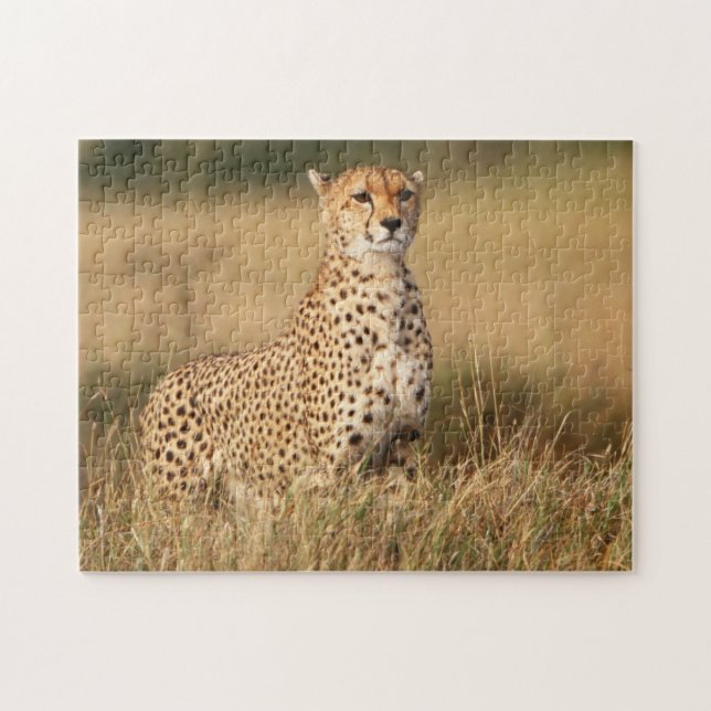 Puzzle Guépard sur un petit monticule pour une meilleure  (Horizontal)