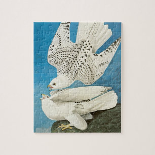 Puzzle Gyrfalcons, alias Gerfalcons par John James Audubo
