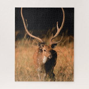 Puzzle Habitat naturel du chital Parc national de Bandh