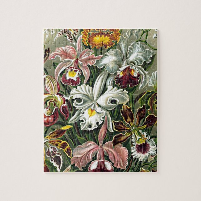 Puzzle Haeckel Rose Blanc Jaune Orchidée Fleurs Peinture (Vertical)