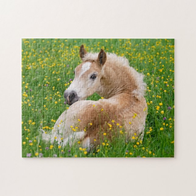 Puzzle Haflinger Horse Cute Fote Repose en Jigsaw Flowbed (Horizontal)