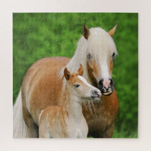 Puzzle Haflinger Horses Joli Fosse Kiss maman Photo - Jeu