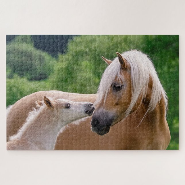 Puzzle Haflinger mare and foal cuddling (Horizontal)