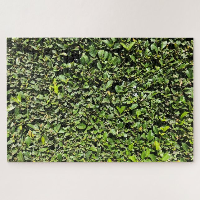 Puzzle haie inexistante (Horizontal)
