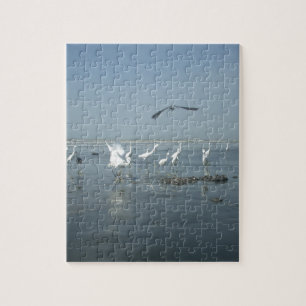 Puzzle Hakuna matata.JPG