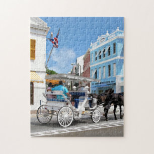 Puzzle Hamilton Bermuda Transport Ride