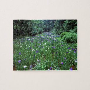 Puzzle Hana Shobu (Iris d'eau japonais), Meiji-jingu,