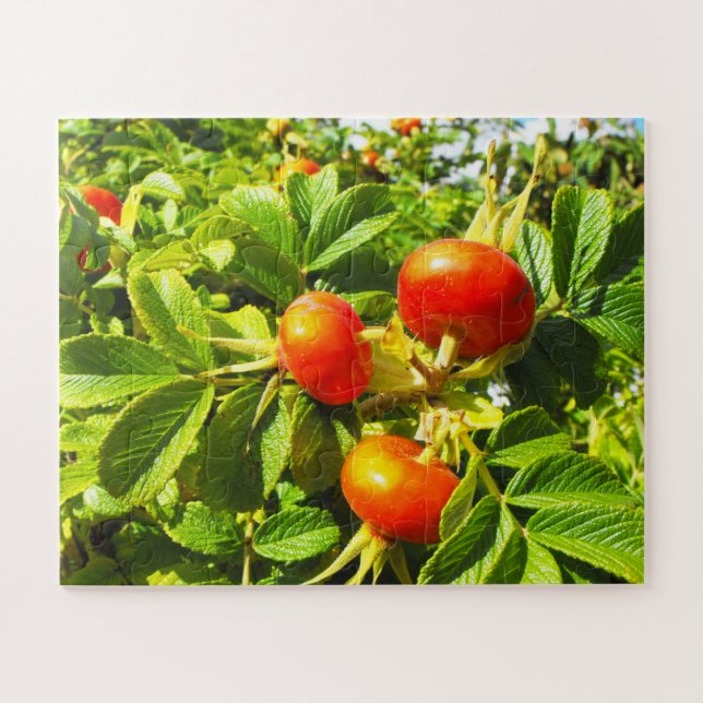Puzzle hanches roses (Horizontal)