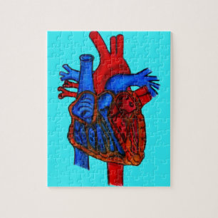 Puzzle Hand Drawn Aqua Anatomical Heart