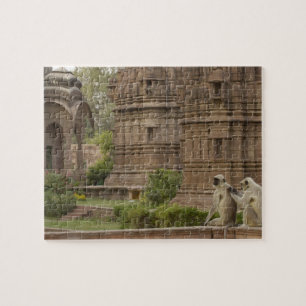 Puzzle Hanuman Langurs ou noir, commun ou gris