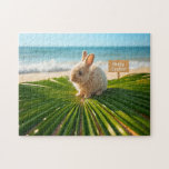 Puzzle Happy Easter Bunny on Palm Branch on Beach<br><div class="desc">Happy Easter from Florida! The design on this gorgeous tropical-themed jigsaw puzzle features a fluffy brown bunny sitting atop a large green palm leaf on a sandy beach. The soft blue hues of the ocean are in the background. The sign in the sand reads "Happy Easter." The jigsaw puzzle is...</div>