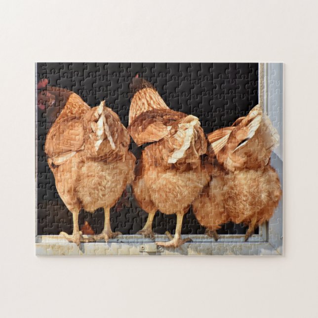 Puzzle Happy Hens Funny Chicken Butt Photo (Horizontal)