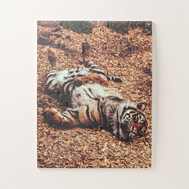 Puzzle Happy Tiger Belly Up Rolling en Feuille (Vertical)
