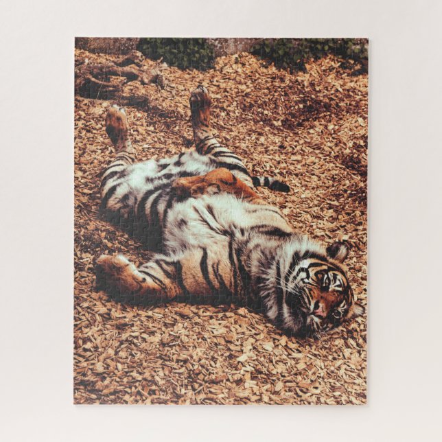 Puzzle Happy Tiger Belly Up Rolling en Feuille (Vertical)