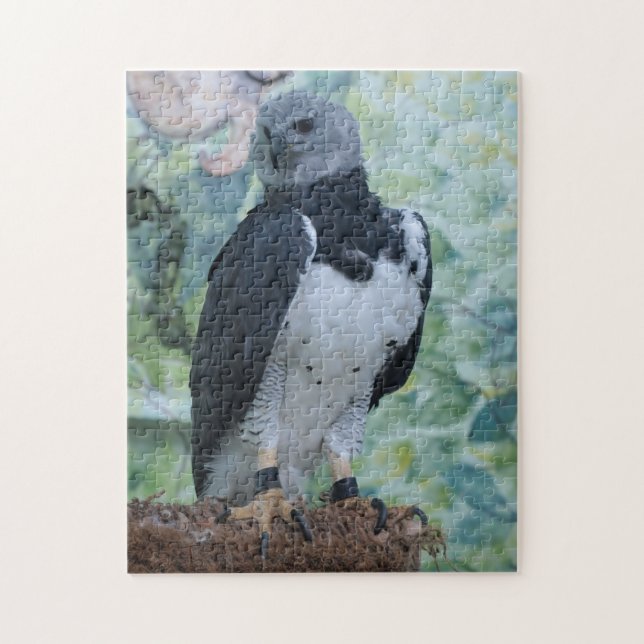 Puzzle Harpie Eagle toujours (Vertical)
