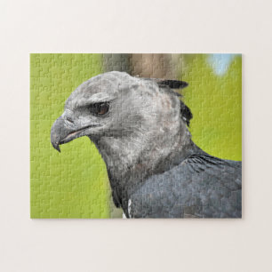 Puzzle Harpy Eagle