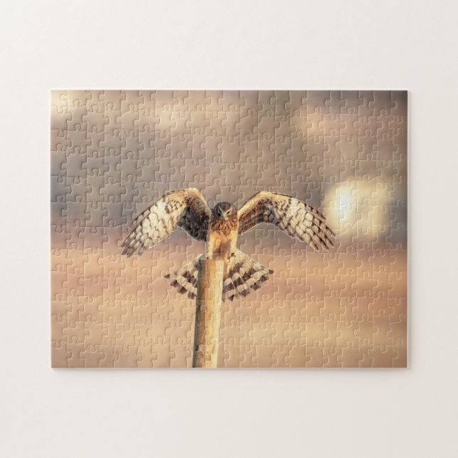 Puzzle Harrier du Nord dans les Prairies de Shawangunk (Horizontal)