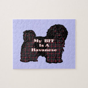 PUZZLE HAVANESE BFF