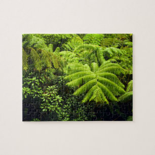 Puzzle Hawaii, Grande Île, Verdure tropicale luxuriante e