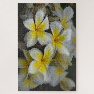 Puzzle Hawaii Plumeria Jaune
