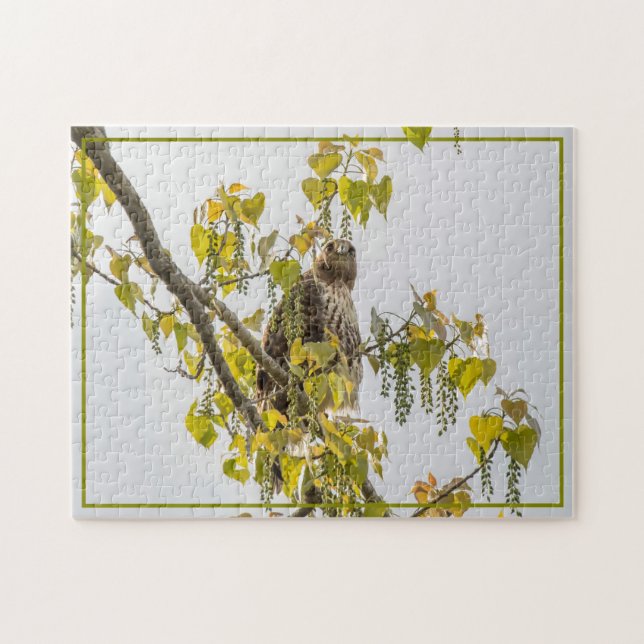Puzzle Hawk Et Coeurs (Horizontal)