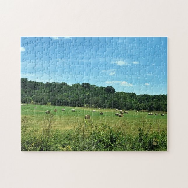 Puzzle Hay Bales, Wytheville, Virginie (Horizontal)