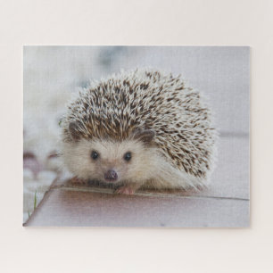 Puzzle Hedgehog