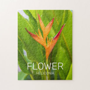 Puzzle Heliconia Fleurs Plante Botanique Jardin Design