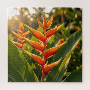Puzzle Heliconia Orange Tropical Fleur Heure Dorée 