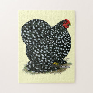 Puzzle Hen Cochin Bouché