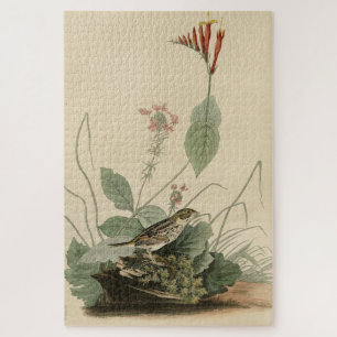 Puzzle Henslow's Bunting (Sparrow), Audubon Birds America