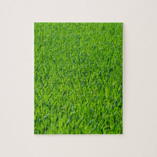 Puzzle Herbe verte