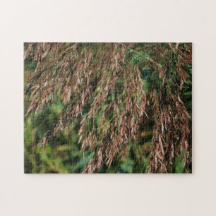 Puzzle Herbes séchées à plumes Gros plan Nature