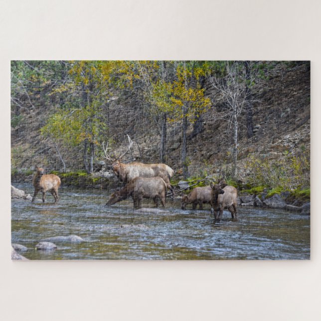 Puzzle Herd Elk dans la rivière Big Thompson (Horizontal)