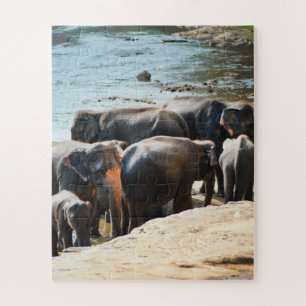 Puzzle Herd of Elephants with Baby in Water