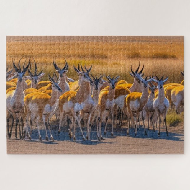 Puzzle Herd Springbok (Horizontal)