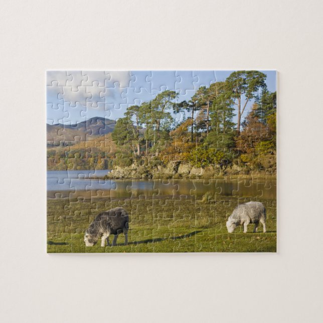 Puzzle Herdwick brebis à Friars Crag, Derwentwater, 2 (Horizontal)